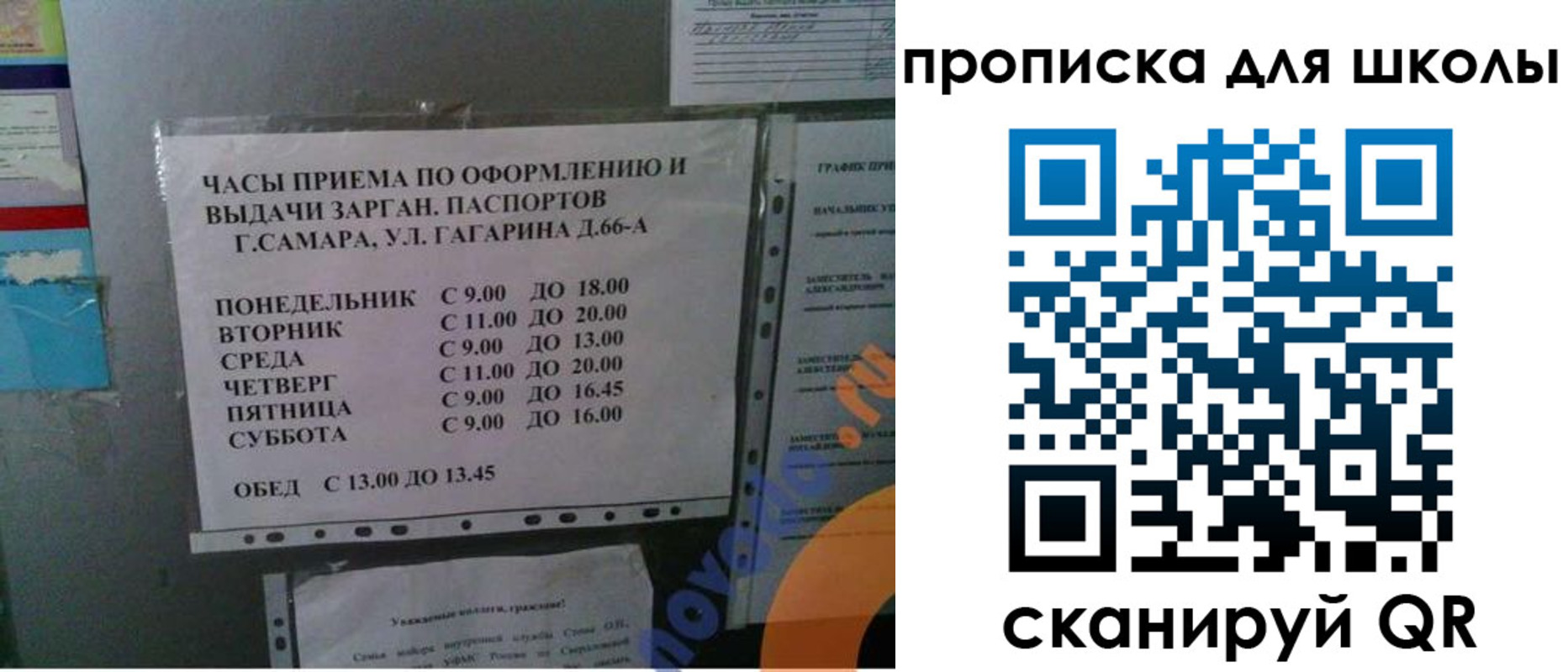 где прописаться в Курской области