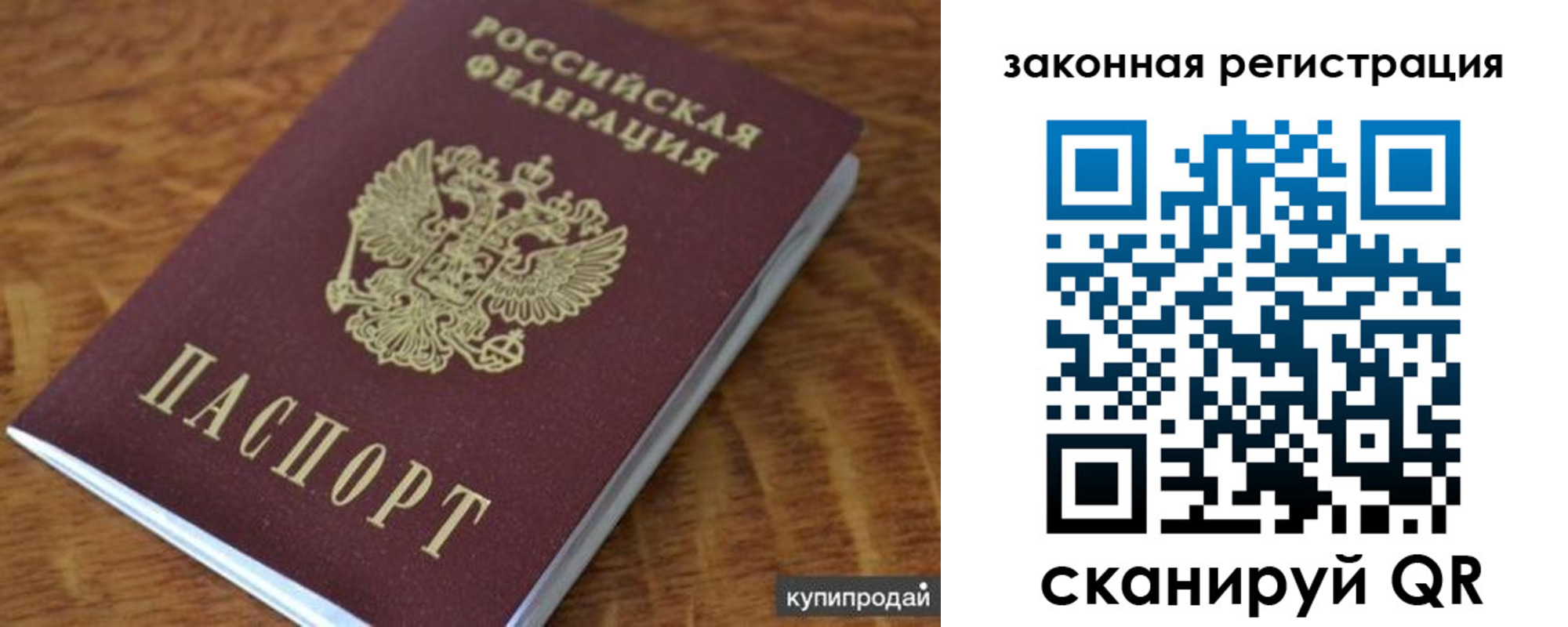прописка гарантия в Курской области